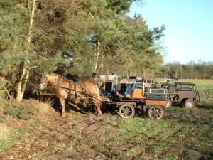 pic24