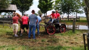 IMG_20190630_133529999 IMG_20190630_133529999