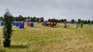 IMG_20190630_142129240_HDR IMG_20190630_142129240_HDR